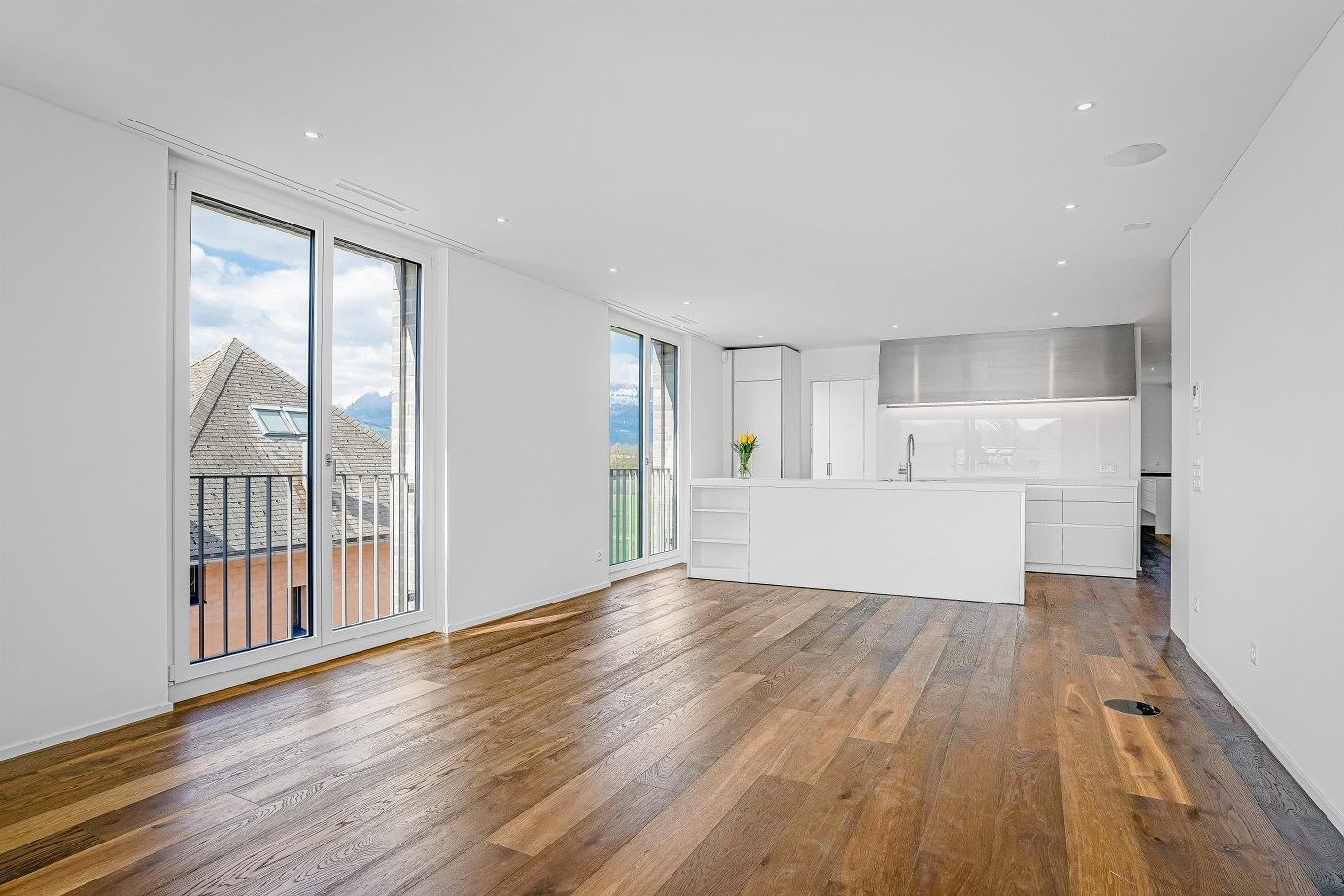 Vogt Immobilien, Vaduz, Attika Wohnungen018b.jpg