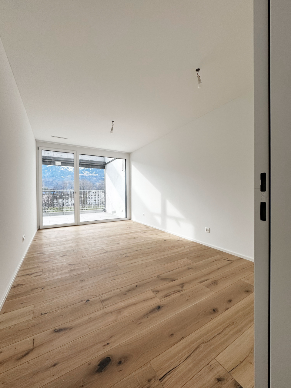 4.5 Zimmer-Attika-Neubauwohnung, 9490 Vaduz