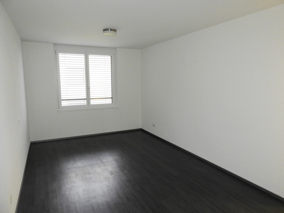 4.5 Zimmer-Wohnung, Vaduz