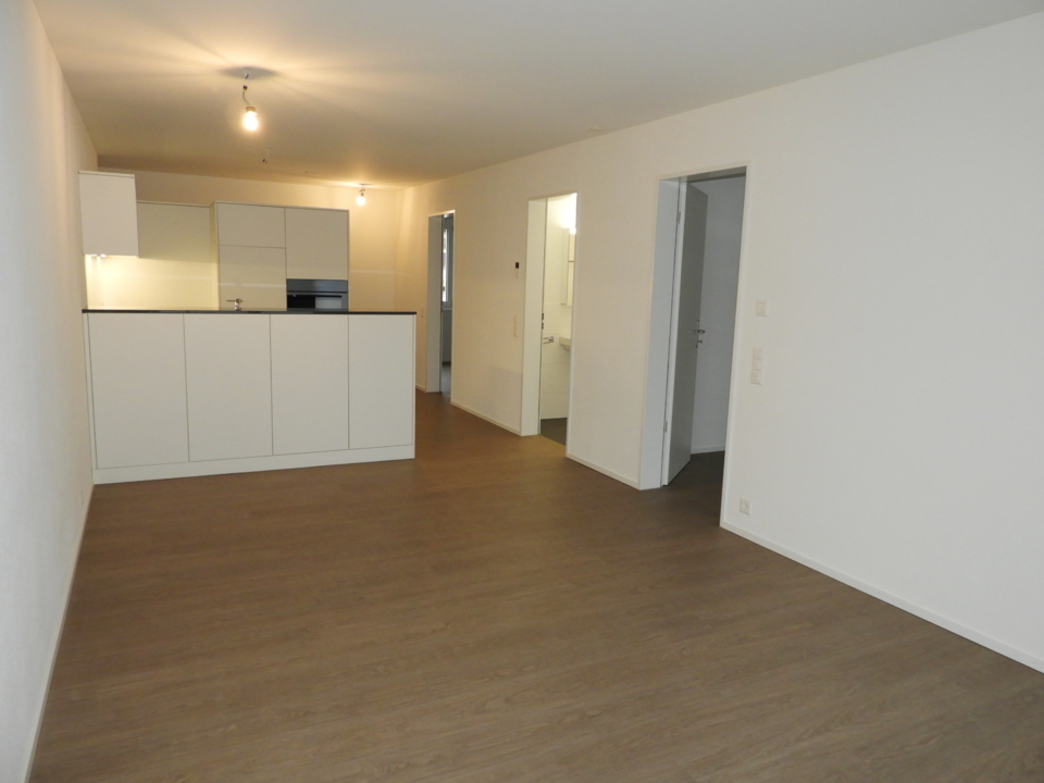 3.5 Zimmer-Wohnung, 9490 Vaduz