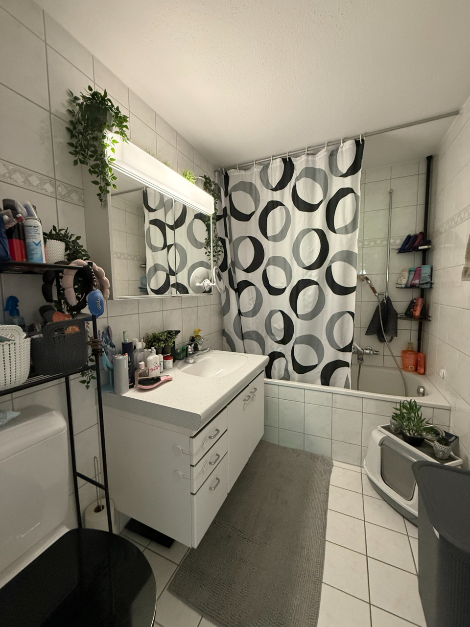 3.5 Zimmer-Wohnung, 9494 Schaan