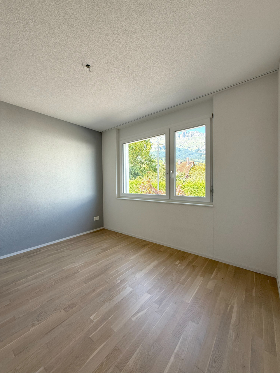 5.5 Zimmer-Doppelhaushälfte, CH-9473 Gams