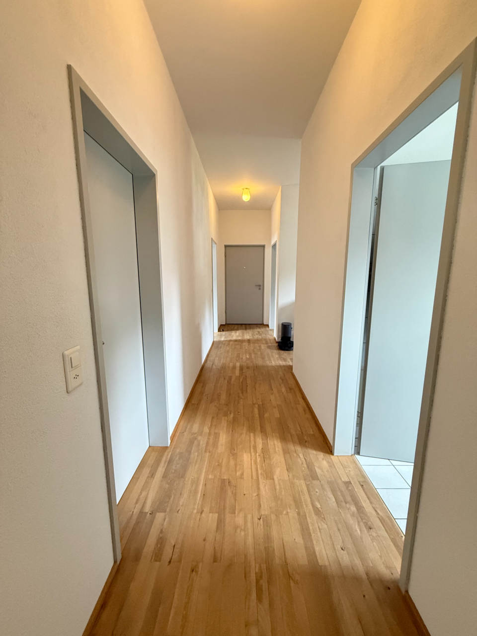 4.5 Zimmer-Dachgeschosswohnung, 9487 Gamprin-Bendern