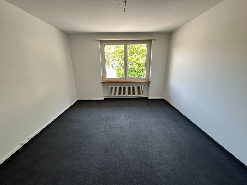 3.5 Zimmer-Altbauwohnung (Süd), 9490 Vaduz